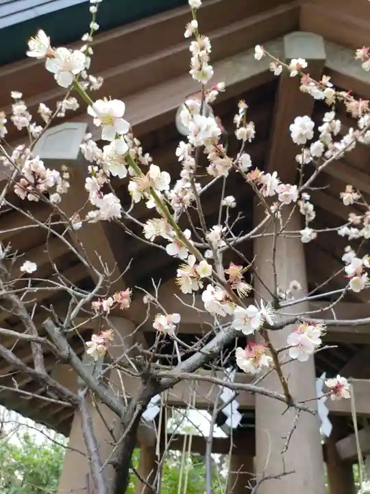 芝大神宮の自然
