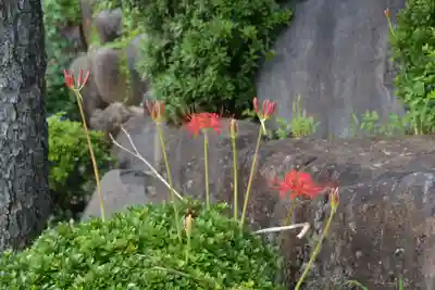 清水寺(山梨県)