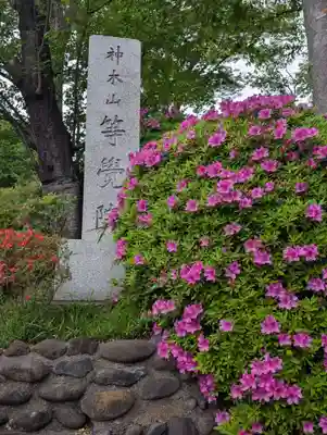 等覚院(神奈川県)