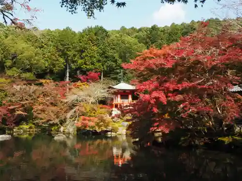 醍醐寺の庭園