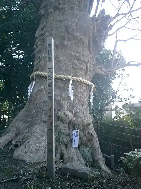 荏柄天神社の自然