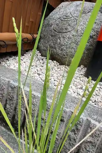 代沢稲荷(東京都)