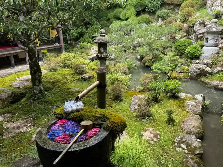 柳谷観音 楊谷寺(京都府)