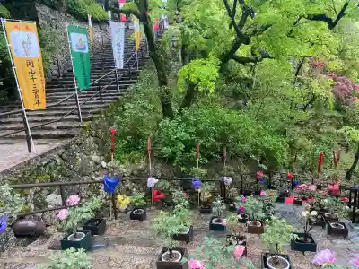 長谷寺の{uncategorized: "未分類", other: "その他", undefined: "問題あり", building: "その他建物", grave: "お墓", sacred_gate: "鳥居", guardian: "狛犬", statue: "像", buddha: "仏像", history: "歴史", nature: "自然", garden: "庭園", animal: "動物", pagoda: "塔", temizu: "手水舎", mountain_gate: "山門・神門", sanctuary: "本殿・本堂", subordinate: "末社・摂社", art: "芸術", scenery: "景色", jizo: "地蔵", ema: "絵馬", goshuin: "御朱印", omikuji: "おみくじ", items: "授与品その他", amulet: "お守り", goshuincho: "御朱印帳", eats: "食事", festival: "お祭り", votive_dance: "神楽", shichigosan: "七五三参", wedding: "結婚式", experience: "体験その他", initially: "初詣", around: "周辺", anti_infection: "感染症対策"}