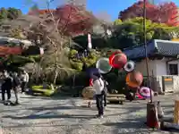 岡寺(龍蓋寺)(奈良県)