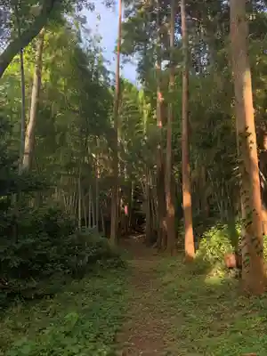 大宮神社の周辺