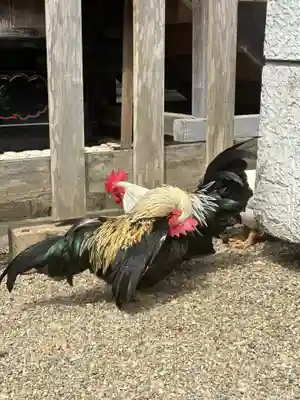 大崎八幡宮(宮城県)