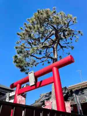 船橋東照宮(千葉県)