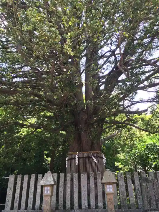 熊野速玉大社の自然