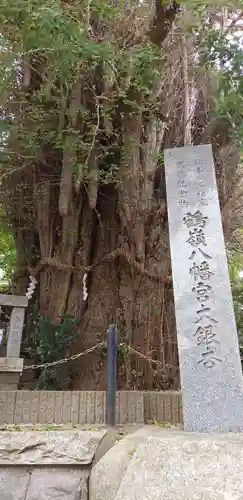 鶴嶺八幡宮の自然