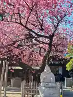 荏原神社の自然