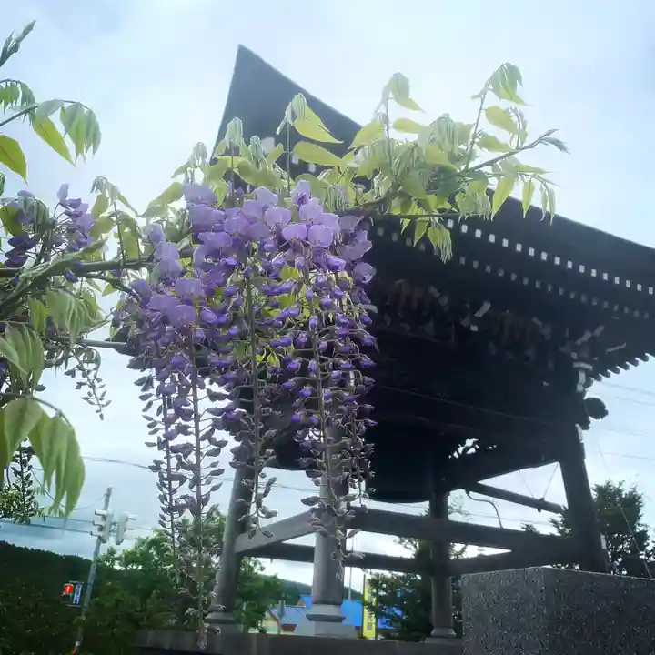 仁玄寺のその他建物