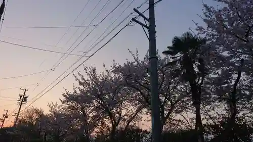 尾張大國霊神社（国府宮）の自然
