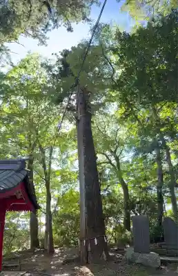 高瀧神社(千葉県)