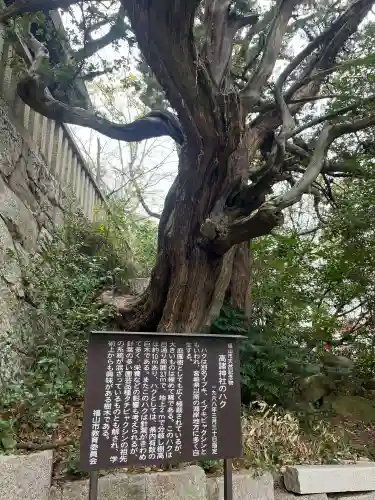 高諸神社の{uncategorized: "未分類", other: "その他", undefined: "問題あり", building: "その他建物", grave: "お墓", sacred_gate: "鳥居", guardian: "狛犬", statue: "像", buddha: "仏像", history: "歴史", nature: "自然", garden: "庭園", animal: "動物", pagoda: "塔", temizu: "手水舎", mountain_gate: "山門・神門", sanctuary: "本殿・本堂", subordinate: "末社・摂社", art: "芸術", scenery: "景色", jizo: "地蔵", ema: "絵馬", goshuin: "御朱印", omikuji: "おみくじ", items: "授与品その他", amulet: "お守り", goshuincho: "御朱印帳", eats: "食事", festival: "お祭り", votive_dance: "神楽", shichigosan: "七五三参", wedding: "結婚式", experience: "体験その他", initially: "初詣", around: "周辺", anti_infection: "感染症対策"}