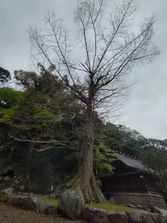 安房神社の自然
