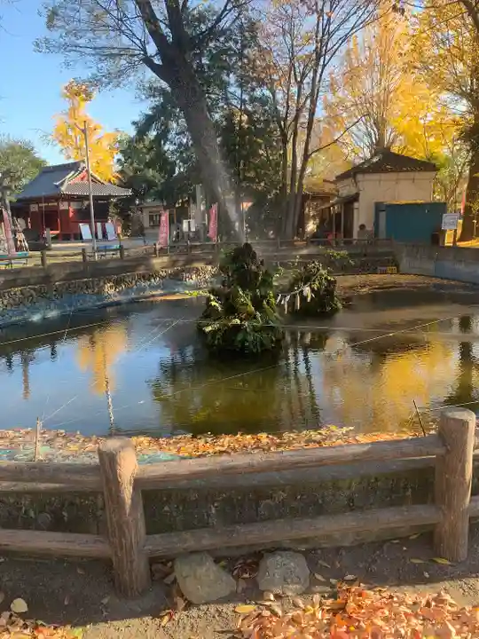東石清水八幡神社(埼玉県)