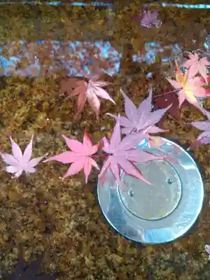 法輪寺の手水舎