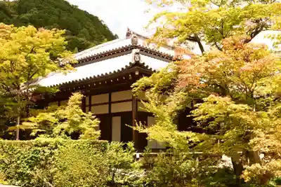 常寂光寺(京都府)