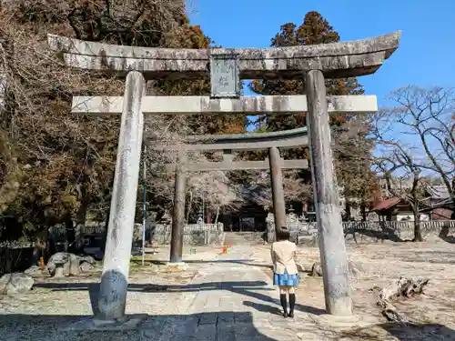 大宮諏訪神社の鳥居