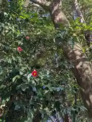 伊多波刀神社(愛知県)