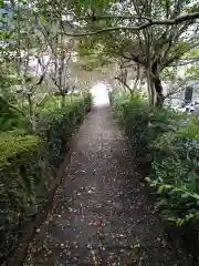 崇禅寺の建物その他