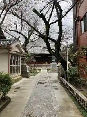 墨染寺（桜寺）(京都府)