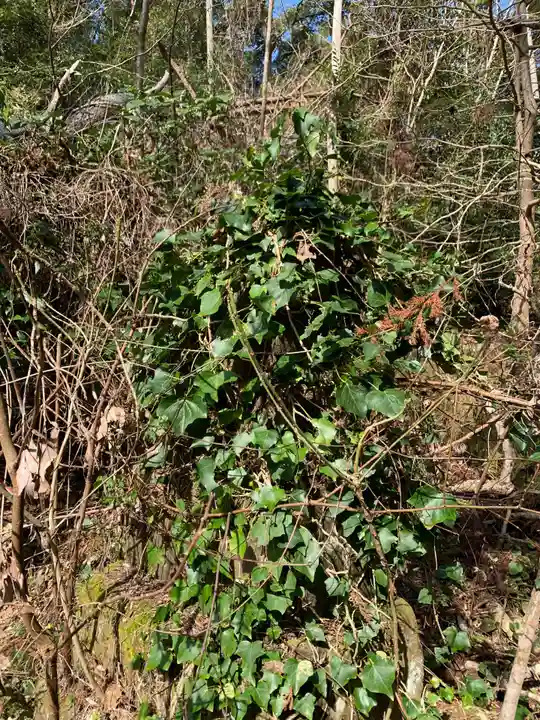 市井神社の狛犬