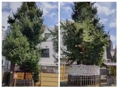 天祖神社(東京都)