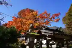 鹿島大神宮の自然