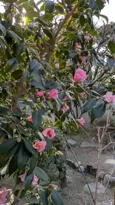 青蓮寺(大阪府)