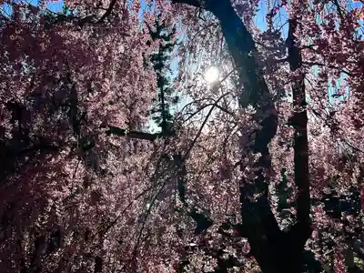 廣徳寺(長野県)