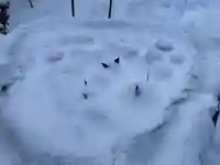 彌彦神社 (伊夜日子神社)の手水舎