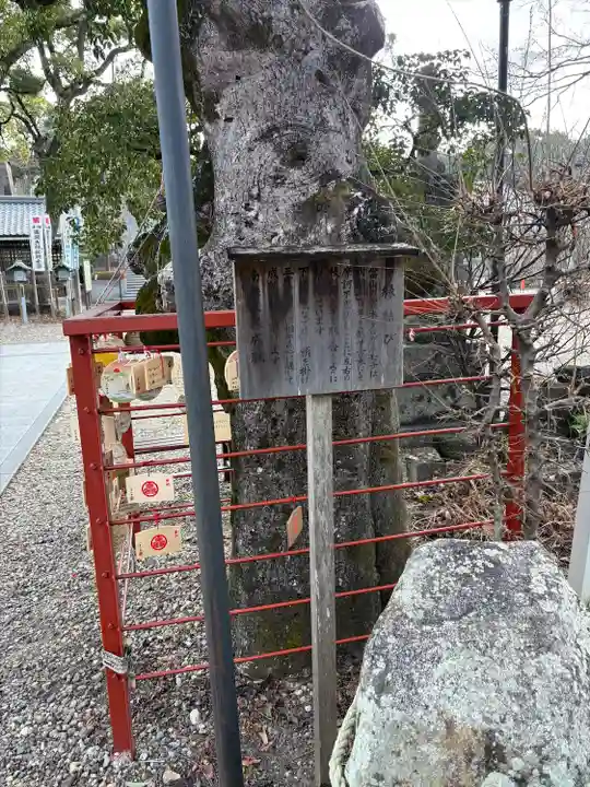 八事山 興正寺のその他建物