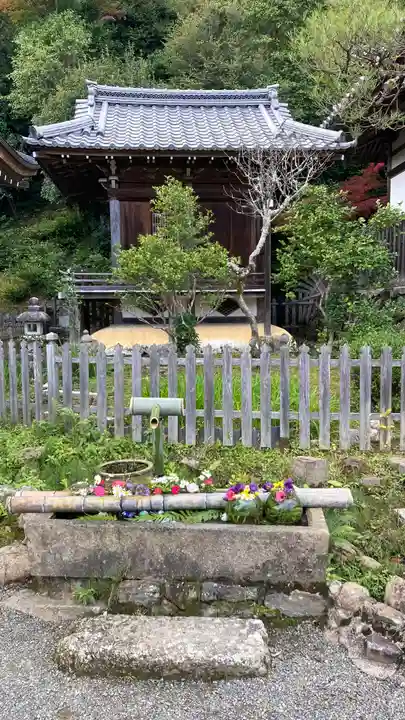 二尊院(京都府)