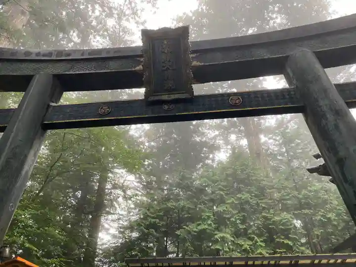 日光東照宮奥宮拝殿の鳥居