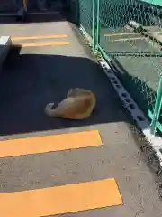 一畑山薬師寺 名古屋別院の動物