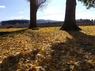 日吉神社(福井県)