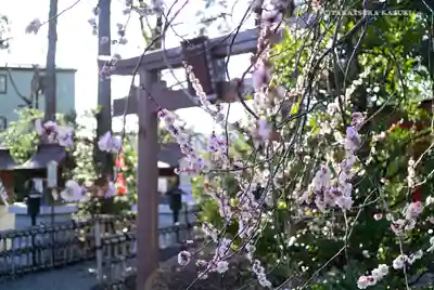 亀ケ池八幡宮のその他建物
