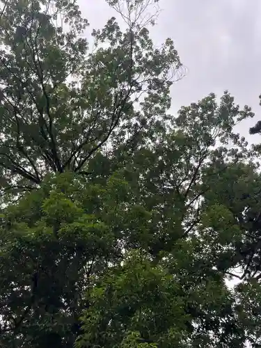 飯坂八幡神社(福島県)