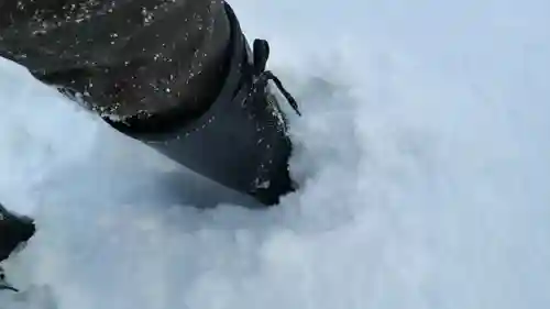 新琴似神社(北海道)