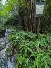 加蘇山神社 奥ノ宮の自然