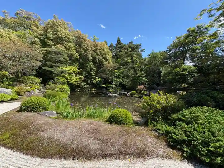 知恩院の{uncategorized: "未分類", other: "その他", undefined: "問題あり", building: "その他建物", grave: "お墓", sacred_gate: "鳥居", guardian: "狛犬", statue: "像", buddha: "仏像", history: "歴史", nature: "自然", garden: "庭園", animal: "動物", pagoda: "塔", temizu: "手水舎", mountain_gate: "山門・神門", sanctuary: "本殿・本堂", subordinate: "末社・摂社", art: "芸術", scenery: "景色", jizo: "地蔵", ema: "絵馬", goshuin: "御朱印", omikuji: "おみくじ", items: "授与品その他", amulet: "お守り", goshuincho: "御朱印帳", eats: "食事", festival: "お祭り", votive_dance: "神楽", shichigosan: "七五三参", wedding: "結婚式", experience: "体験その他", initially: "初詣", around: "周辺", anti_infection: "感染症対策"}