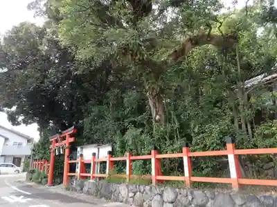 大將軍神社の周辺