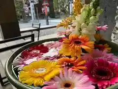 滑川神社 - 仕事と子どもの守り神の手水