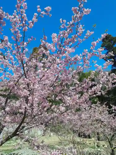 長楽寺(兵庫県)