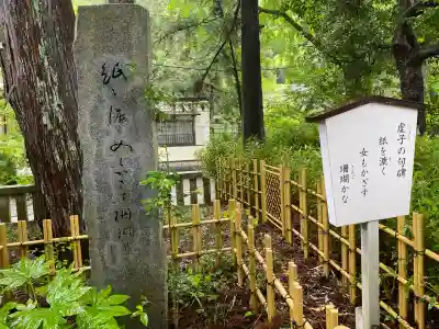 椙本神社(高知県)