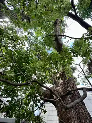 阿保神社(大阪府)