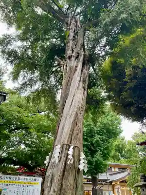 居木神社(東京都)