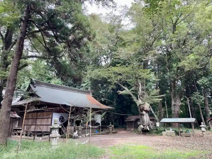 中村八幡宮の建物その他